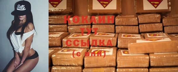 тгк Бородино