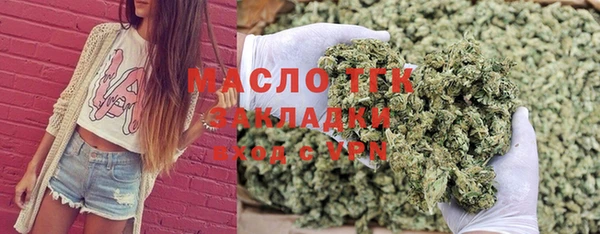 тгк Бородино