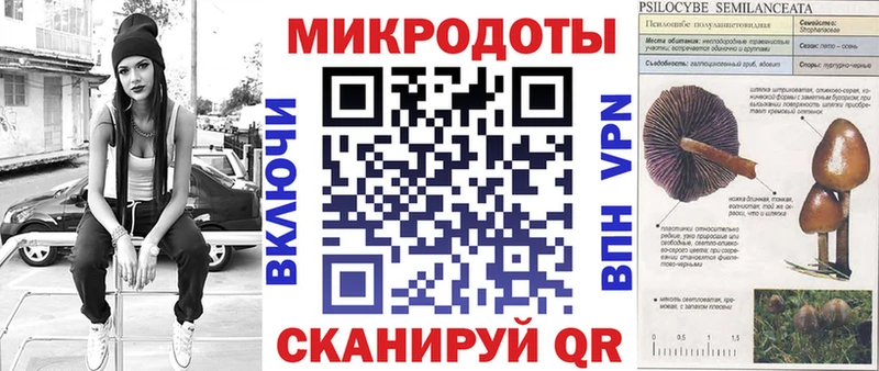Галлюциногенные грибы Psilocybe  Старый Оскол 